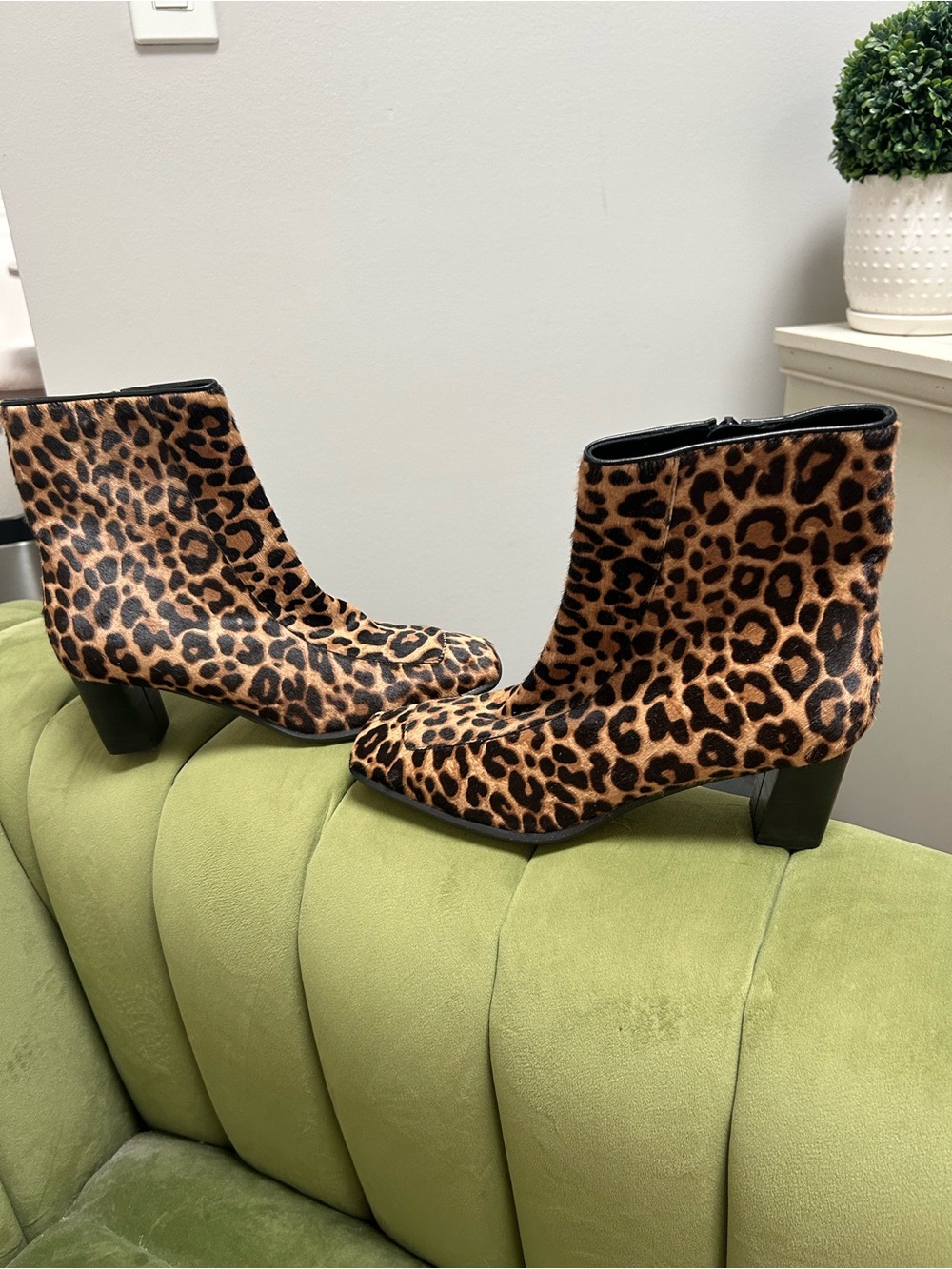 Banana Republic Leopard-Print Ankle Boots in Tan and Black